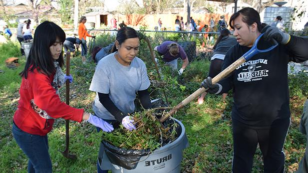 Community Garden